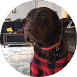 Profile photo of Christian Jackson