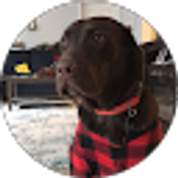 Profile photo of Christian Jackson