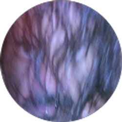 Profile photo of James O