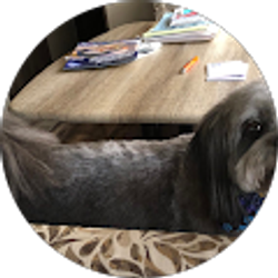 Profile photo of Lee Davies