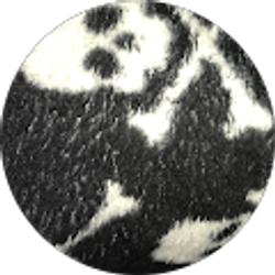 Profile photo of Elizabeth Mendez