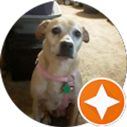 Profile photo of dave weyant