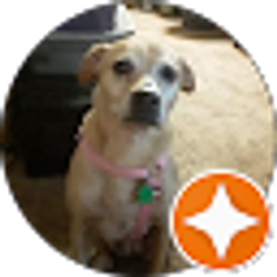 Profile photo of dave weyant