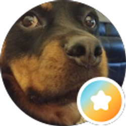 Profile photo of Kathy Jenkins