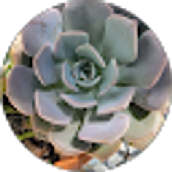 Profile photo of Nora Garcia