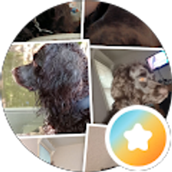 Profile photo of Jason Magee