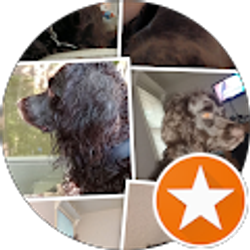 Profile photo of Jason Magee