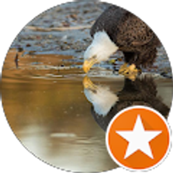 Profile photo of Roman Almanza