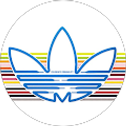 Profile photo of tommy zhao