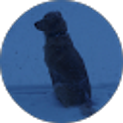 Profile photo of Anti- Kryptonite