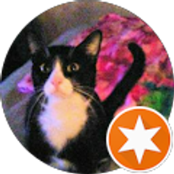 Profile photo of Jocelyn S