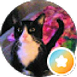 Profile photo of Jocelyn S