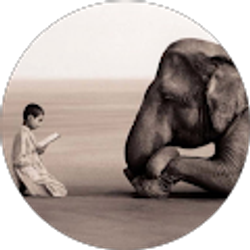 Profile photo of Reign