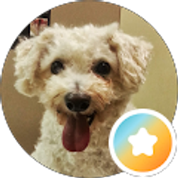 Profile photo of Sandy Miller