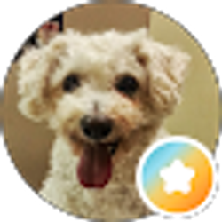Profile photo of Sandy Miller