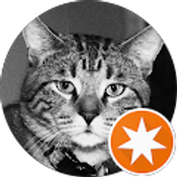 Profile photo of Oscar