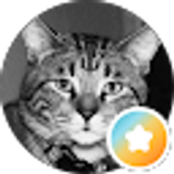 Profile photo of OscarDeLaFeLion