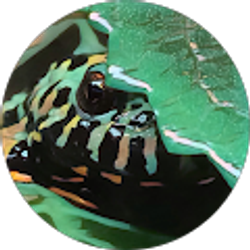 Profile photo of CritterGirl