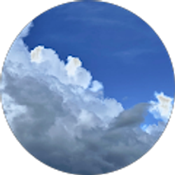 Profile photo of Sallie Taylor