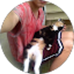 Profile photo of Tyler Ringer