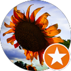 Profile photo of Michelle C