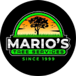 Profile photo of Mario's Tree Services