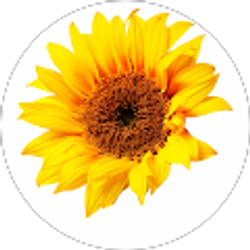 Profile photo of tishia de paula