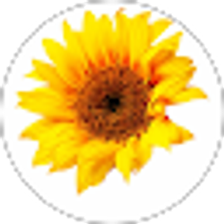 Profile photo of tishia de paula