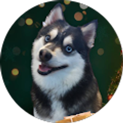 Profile photo of Christine Foss