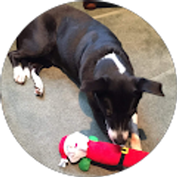 Profile photo of Elizabeth McKeown