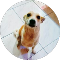 Profile photo of j Babiano