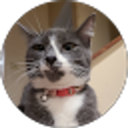 Profile photo of Zachary Taylor