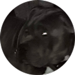 Profile photo of David Hernandez