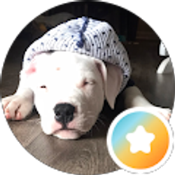 Profile photo of Indira Cutiño