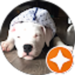 Profile photo of Indira Cutiño