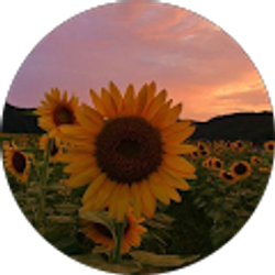 Profile photo of lindsey o’hara