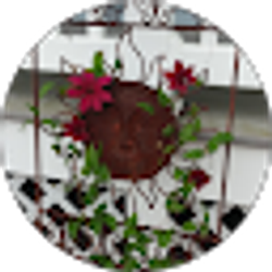 Profile photo of Angel Smith