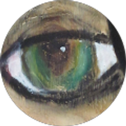 Profile photo of NSR Sound Recordings