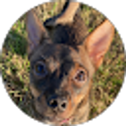 Profile photo of Brian Herrera