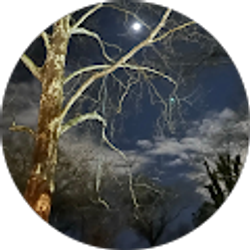 Profile photo of Teddi Sue Bartlett