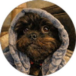 Profile photo of Melaney Stefanik