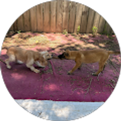 Profile photo of J_elijah421