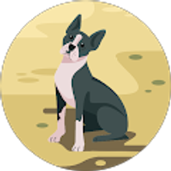 Profile photo of Donna Hudson