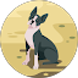 Profile photo of Donna Hudson