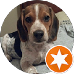 Profile photo of John Connley