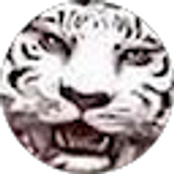 Profile photo of Justin Wyer