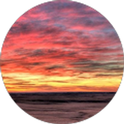 Profile photo of M R