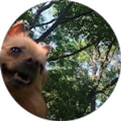 Profile photo of Jio2 Carbon