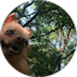 Profile photo of Jio2 Carbon