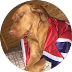 Profile photo of JD B